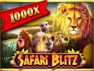 Safari Blitz icon