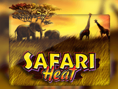 Safari Heat icon